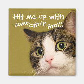 Funny Cat Foto Catnip Caption Magnet (Vorne)