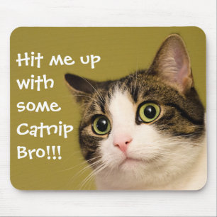 Funny Cat Foto Catnip Caption Mousepad