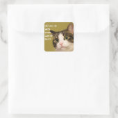 Funny Cat Foto Catnip Caption Quadratischer Aufkleber (Tasche)