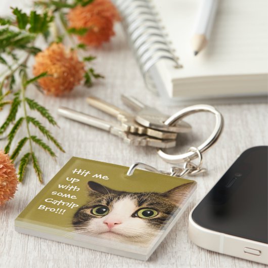 Funny Cat Foto Catnip Caption Schlüsselanhänger (Vorderseite rechts)