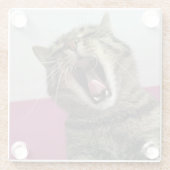 Funny Cat Foto Pet Love Glasuntersetzer (Rückseite)