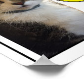 Funny Cat Foto Poster (Ecke)