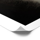 Funny Cat Foto Poster (Ecke)