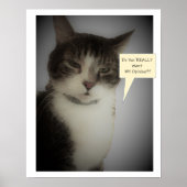 Funny Cat Foto Poster (Vorne)