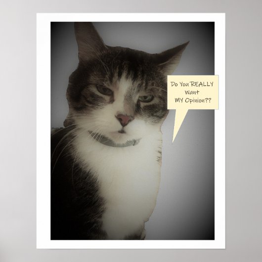 Funny Cat Foto Poster (Vorne)
