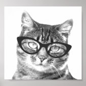 Funny Cat Foto Poster (Vorne)