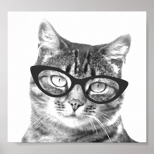 Funny Cat Foto Poster (Vorne)