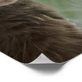 Funny Cat Foto Poster (Ecke)