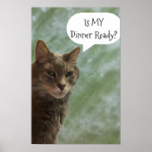 Funny Cat Foto Poster (Vorne)