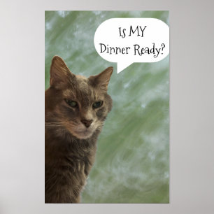 Funny Cat Foto Poster