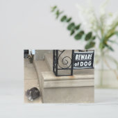 Funny Cat Foto Postkarte (Stehend Vorderseite)