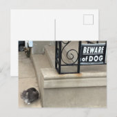 Funny Cat Foto Postkarte (Vorne/Hinten)