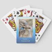 Funny Cat Foto Spielkarten Deck (Rückseite)