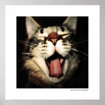 Funny Cat Fun Tongue Out Kitten Coole Plakatdrucke