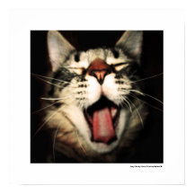 Funny Cat Fun Tongue Out Kitten Coole Plakatdrucke