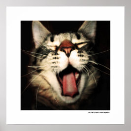 Funny Cat Fun Tongue Out Kitten Coole Plakatdrucke Poster