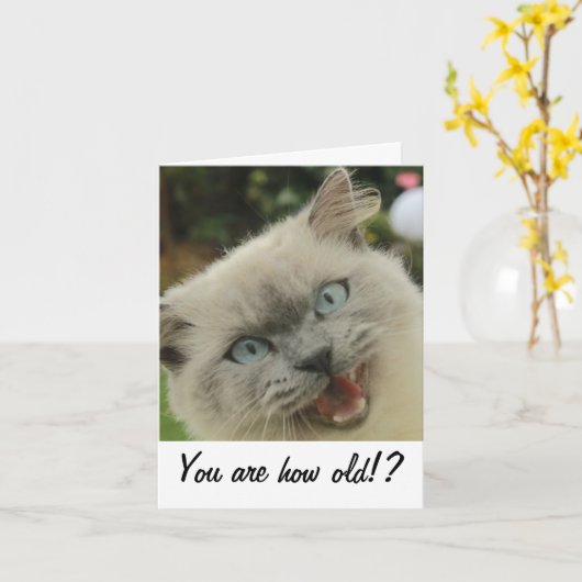 Funny Cat Geburtcard Karte (Gelbe Blume)