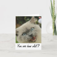 Funny Cat Geburtcard