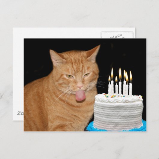 Funny Cat Geburtstag Postkarte (Vorne/Hinten)