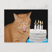 Funny Cat Geburtstag Postkarte (Vorderseite)