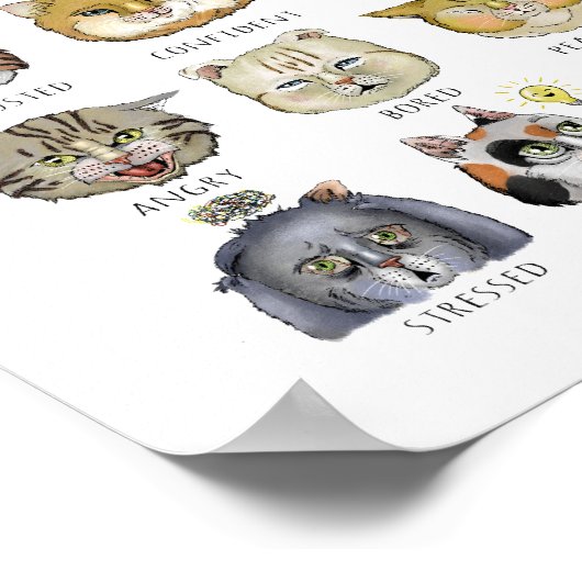 Funny Cat Gefühl Chart Wie geht es dir? Poster (Ecke)