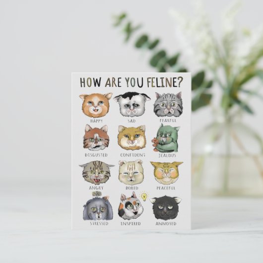 Funny Cat Gefühl Chart Wie geht es dir? Postkarte (Stehend Vorderseite)