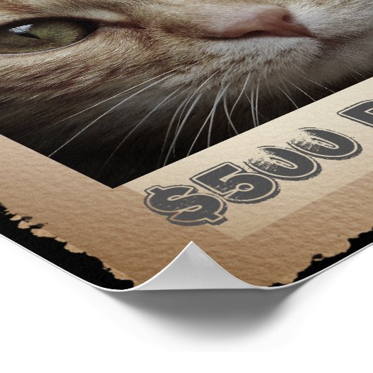 Funny Cat Gewollt Poster (Ecke)
