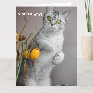 Funny Cat Happy 21. Geburtstagskarte Karte