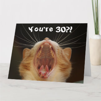 Funny Cat Happy 30. Geburtstagskarte Karte