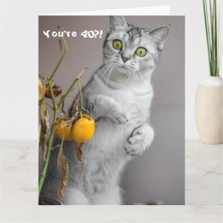 Funny Cat Happy 40. Geburtstagskarte Karte