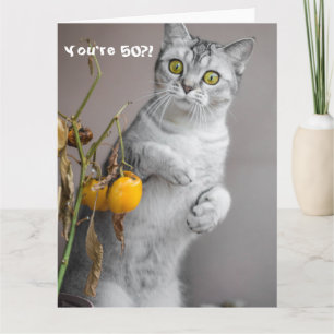 Funny Cat Happy 50. Geburtstagskarte Karte