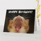 Funny Cat Happy Birthday Card Karte (Gelbe Blume)