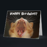 Funny Cat Happy Birthday Card Karte<br><div class="desc">Dieses Design zeigt ein lustiges Bild einer Katze! Ideal für besondere Anlässe wie Geburtstage,  Jubiläen und mehr. Wenn Sie das Design durch Ändern der Nachricht,  des Alters oder des Schriftartes personalisieren möchten,  klicken Sie auf "Design bearbeiten".</div>