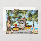 Funny Cat Happy Cinco de Mayo Postkarte (Vorne/Hinten)
