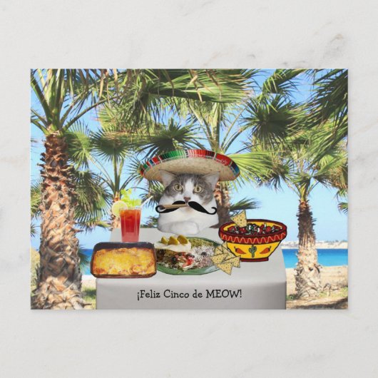 Funny Cat Happy Cinco de Mayo Postkarte (Vorderseite)