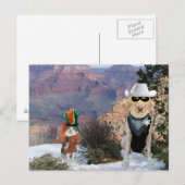 Funny Cat & Hund/Labrador Western Postkarte (Vorne/Hinten)