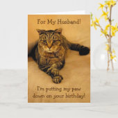 Funny Cat Husband Birthday Karte (Gelbe Blume)