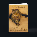 Funny Cat Husband Birthday Karte<br><div class="desc">Geburtstagskarte für Ehemann mit einem großen niedlichen Kätzchen mit einem besonderen Geburtstagsgruß. Personalisieren Sie den Text,  um Ihre eigene einzigartige Nachricht zu erstellen.</div>