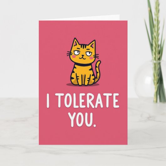 Funny Cat I Tolerate You Card Karte (Vorderseite)