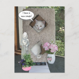 Funny Cat/ I ve Moved/New Address Ankündigungspostkarte