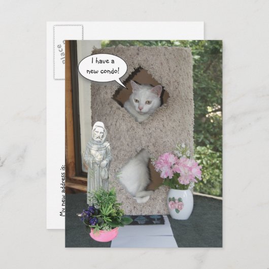 Funny Cat/ I ve Moved/New Address Ankündigungspostkarte (Vorne/Hinten)