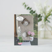 Funny Cat/ I ve Moved/New Address Ankündigungspostkarte (Stehend Vorderseite)