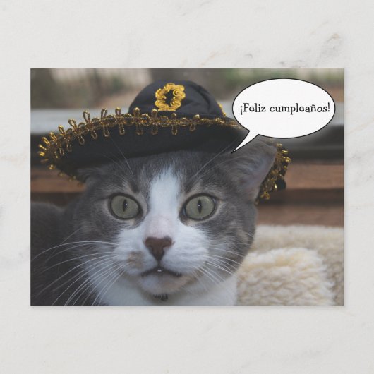 Funny Cat in Sombrero Postkarte (Vorderseite)