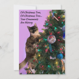 Funny Cat in Tree Eyeing Ornamente Urlaub Feiertagskarte