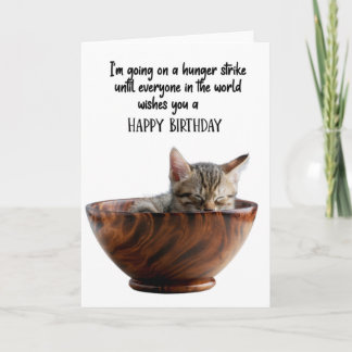 Funny Cat Inside a Bowl Geburtstagskarte Karte