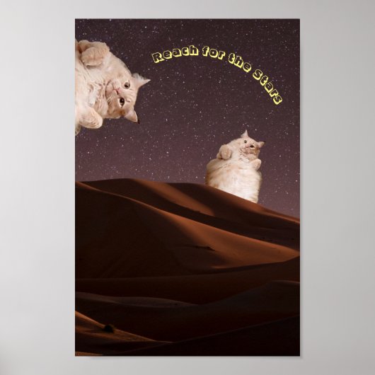 Funny Cat Inspiration Poster (Vorne)