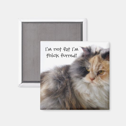 Funny Cat ist nicht fett! Thick Furred Magnet (Vorderseite/Rückseite)