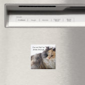 Funny Cat ist nicht fett! Thick Furred Magnet (In Situ (Geschirrspüler))