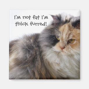 Funny Cat ist nicht fett! Thick Furred Magnet