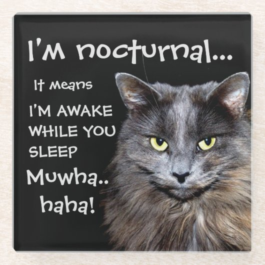 Funny Cat ist Nocturnal Evil Laugh Glasuntersetzer (Vorderseite)